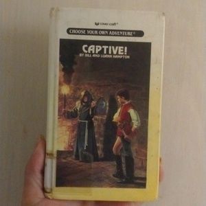 Choose Your own adventure book